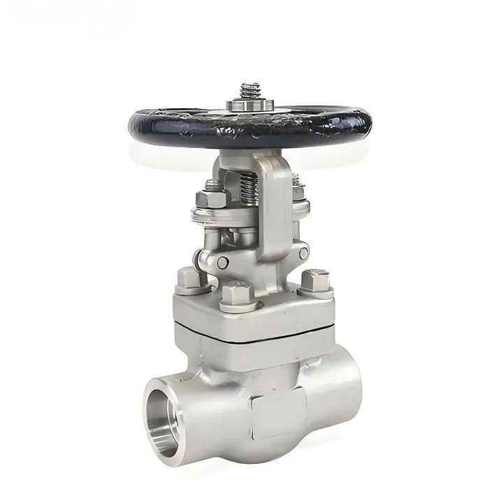 Forged Globe Valve factory